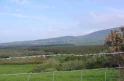 Forestry land for sale Tullig Cahersiveen Forestry land for sale Tullig Cahersiveen