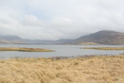 Lough Currane Land for Sale