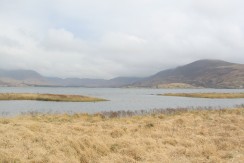 Lough Currane Land for Sale