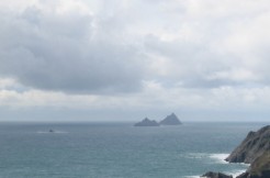 65 ACRES OF VERY GOOD AGRICULTURAL LAND AT MOYRISK, ST FINIANS BAY 65 ACRES OF VERY GOOD AGRICULTURAL LAND AT MOYRISK, ST FINIANS BAY
