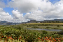 FOR SALE ~ Foxhaven, Waterville, Co Kerry FOR SALE ~ Foxhaven, Waterville, Co Kerry