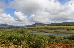 FOR SALE ~ Foxhaven, Waterville, Co Kerry FOR SALE ~ Foxhaven, Waterville, Co Kerry