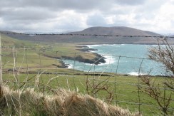 Circa 65 Acres of  good quality agricultural land at the most south westerly point of Finians Bay Peninsula.