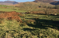 FOR SALE ~ 26.05 Hectares (circa 64 acres) Agricultural land and old stone ruin at Ardkearagh Waterville