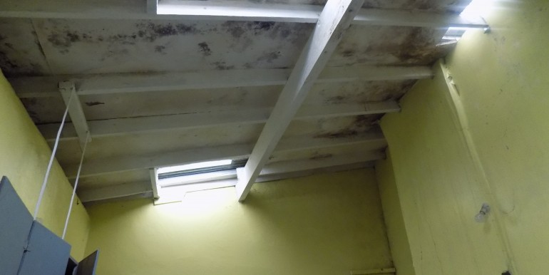 DSCN0275