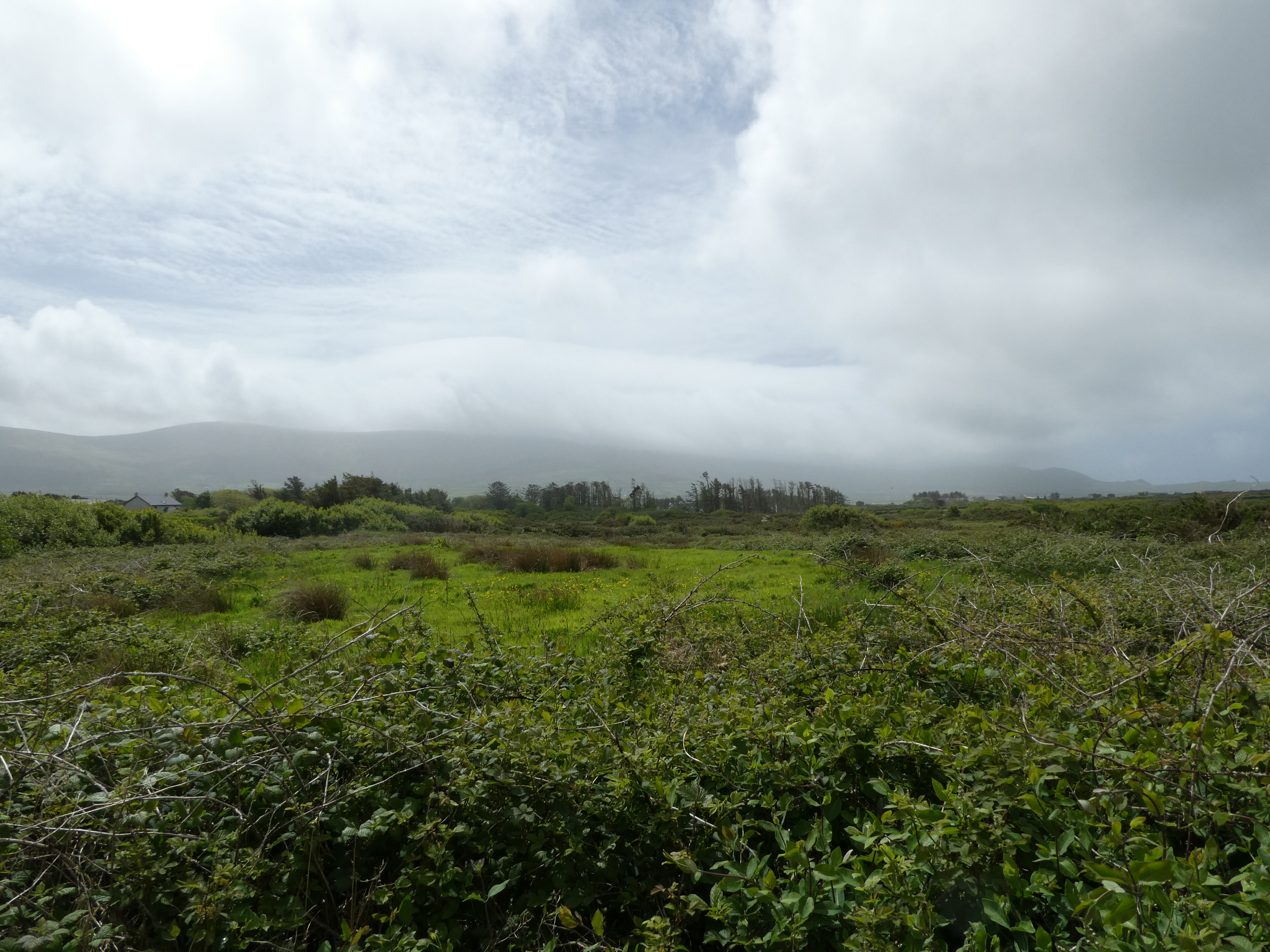 16.87 acres of agricultural land with road frontage – Feachman West, Valentia Island
