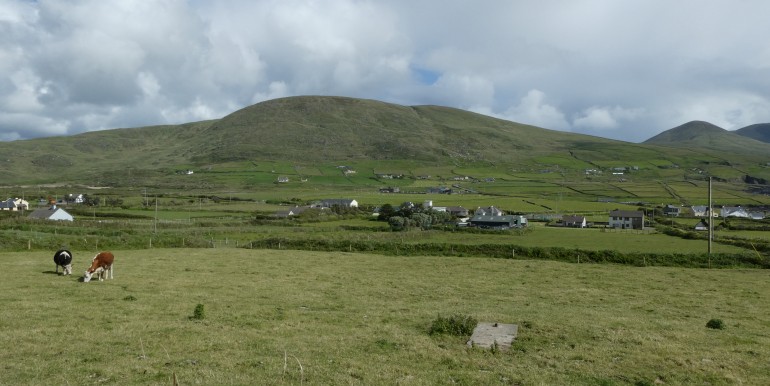 P1000244