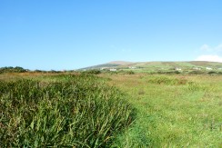 FOR SALE 2.29 Hectares/5.65 Acres of Land at Ballinskelligs. FOR SALE 2.29 Hectares/5.65 Acres of Land at Ballinskelligs.