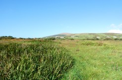 FOR SALE 2.29 Hectares/5.65 Acres of Land at Ballinskelligs.