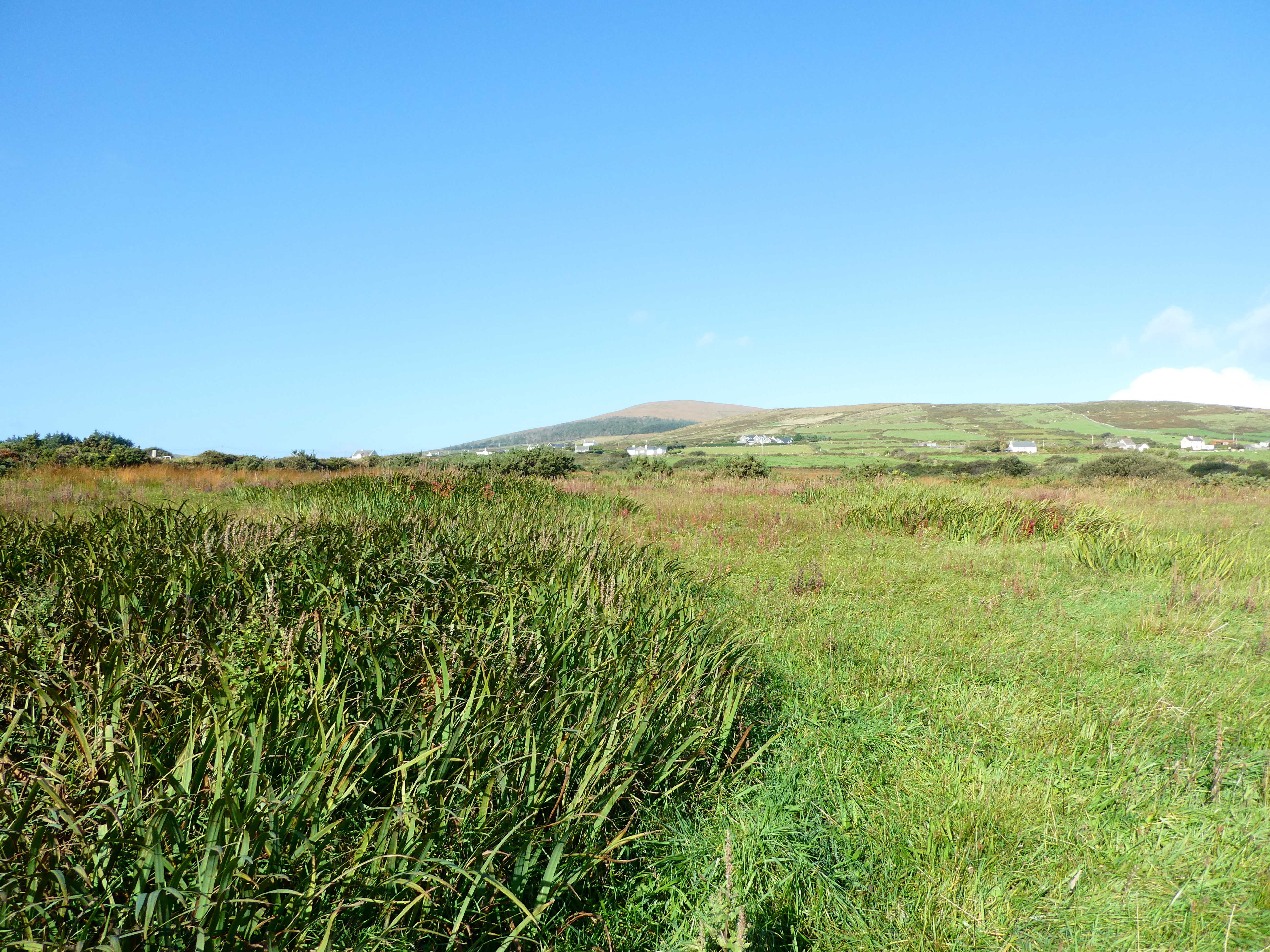 FOR SALE 2.29 Hectares/5.65 Acres of Land at Ballinskelligs.