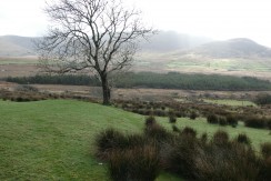 For Sale – 87.11 acres of agricultural land, Derrineden, Waterville, Co. Kerry