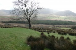 For Sale – 87.11 acres of agricultural land, Derrineden, Waterville, Co. Kerry