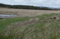 FOR SALE 14 Acres/ 5.66 Hectares At Reen Ballinskelligs.
