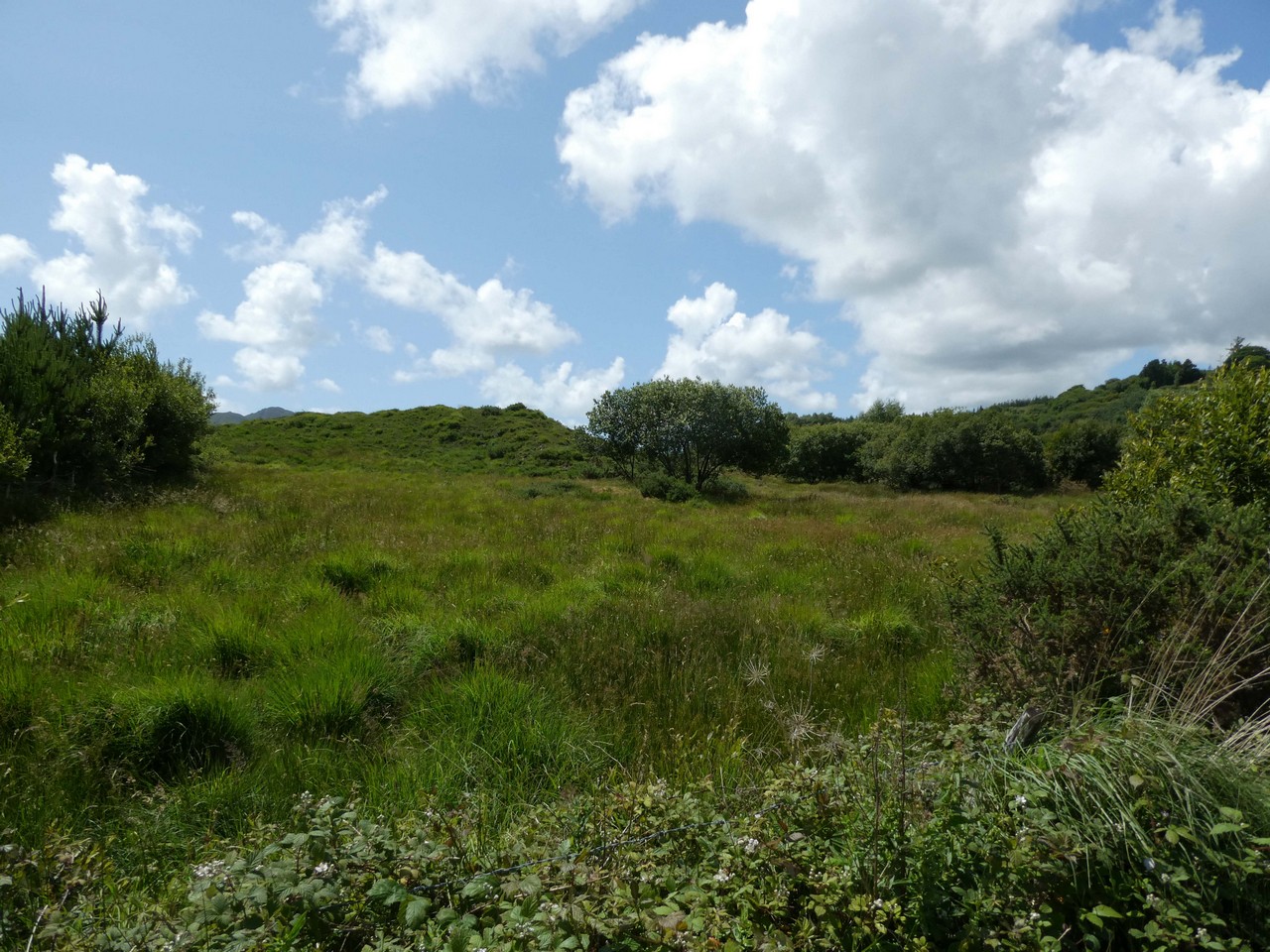 FOR SALE Circa 18.21 Hectares/ 45 Acres. LOMANAGH SOUTH, SNEEM. Kerry Property Sales