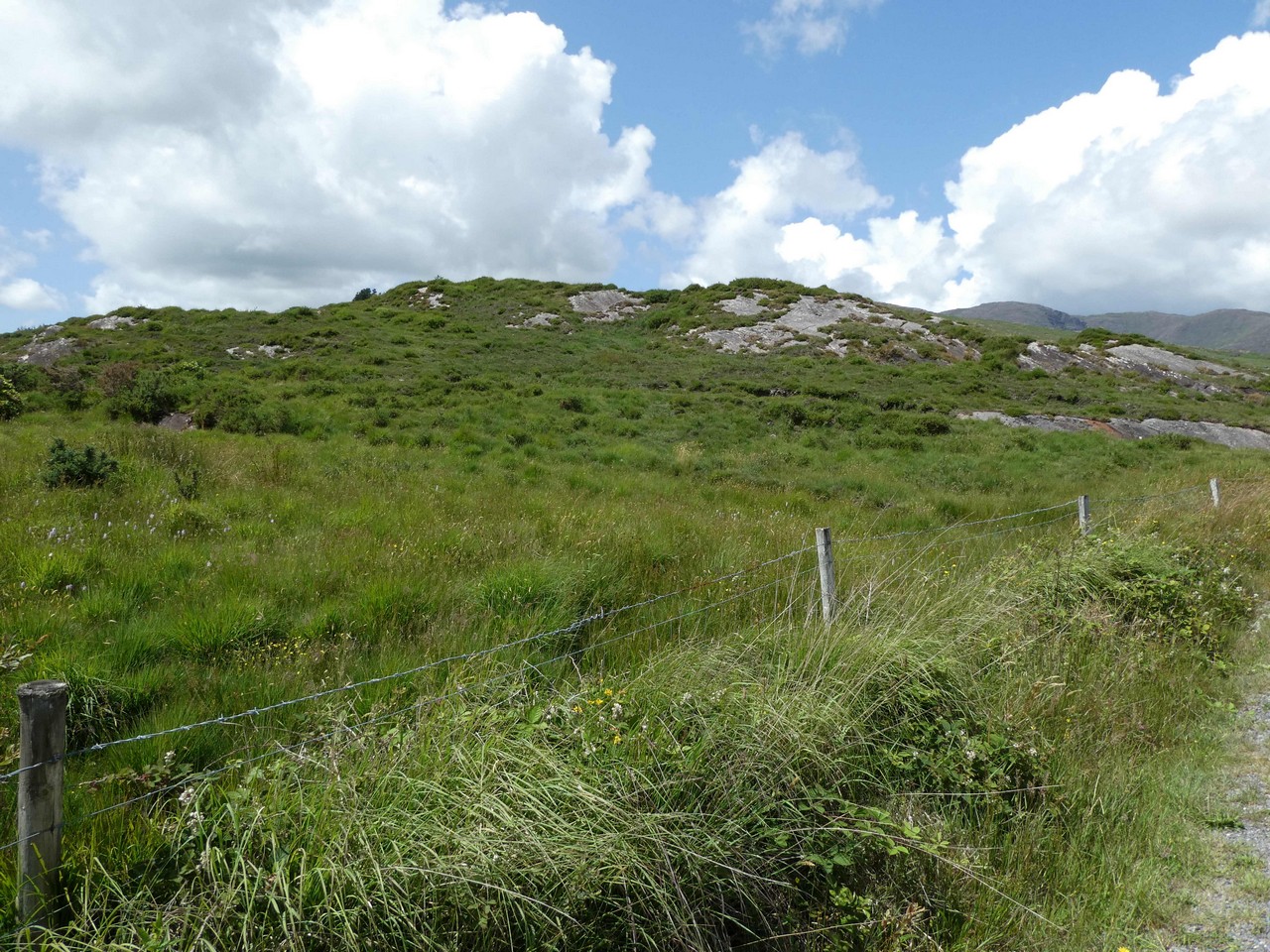 FOR SALE Circa 18.21 Hectares/ 45 Acres. LOMANAGH SOUTH, SNEEM. Kerry Property Sales