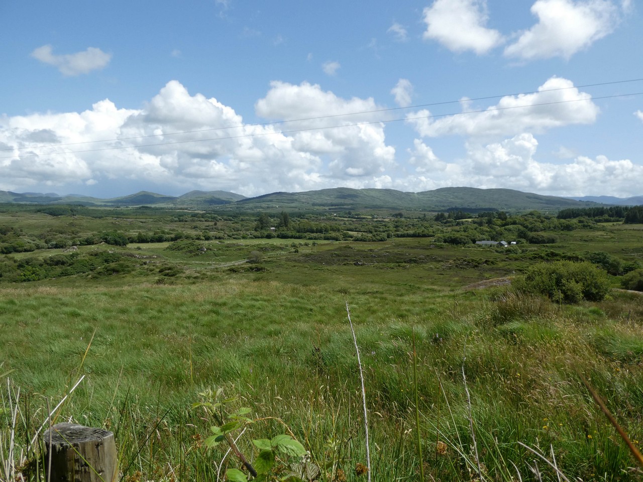 FOR SALE Circa 18.21 Hectares/ 45 Acres. LOMANAGH SOUTH, SNEEM. Kerry Property Sales