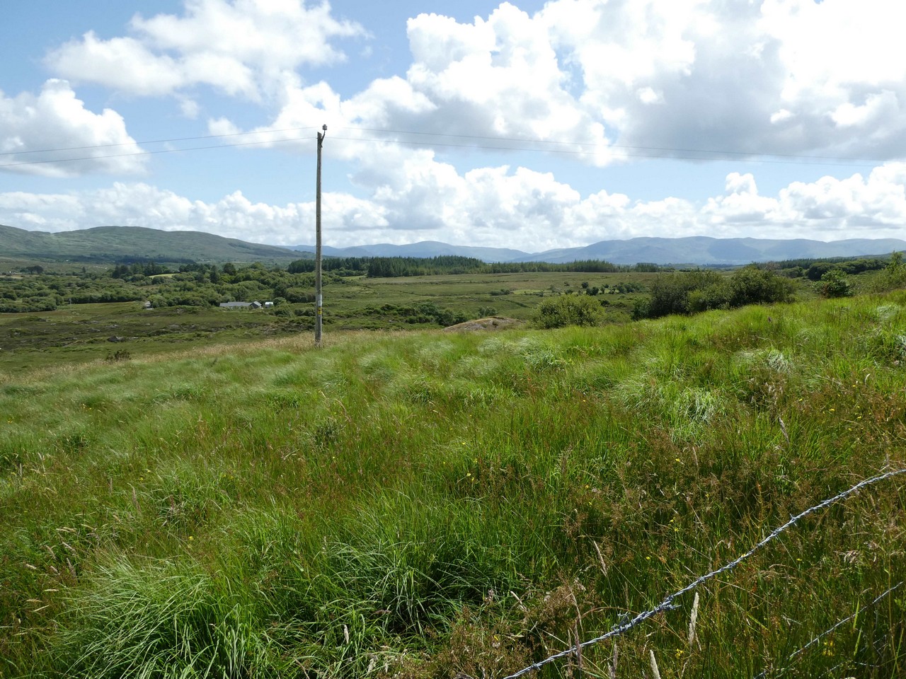 FOR SALE Circa 18.21 Hectares/ 45 Acres. LOMANAGH SOUTH, SNEEM. Kerry Property Sales