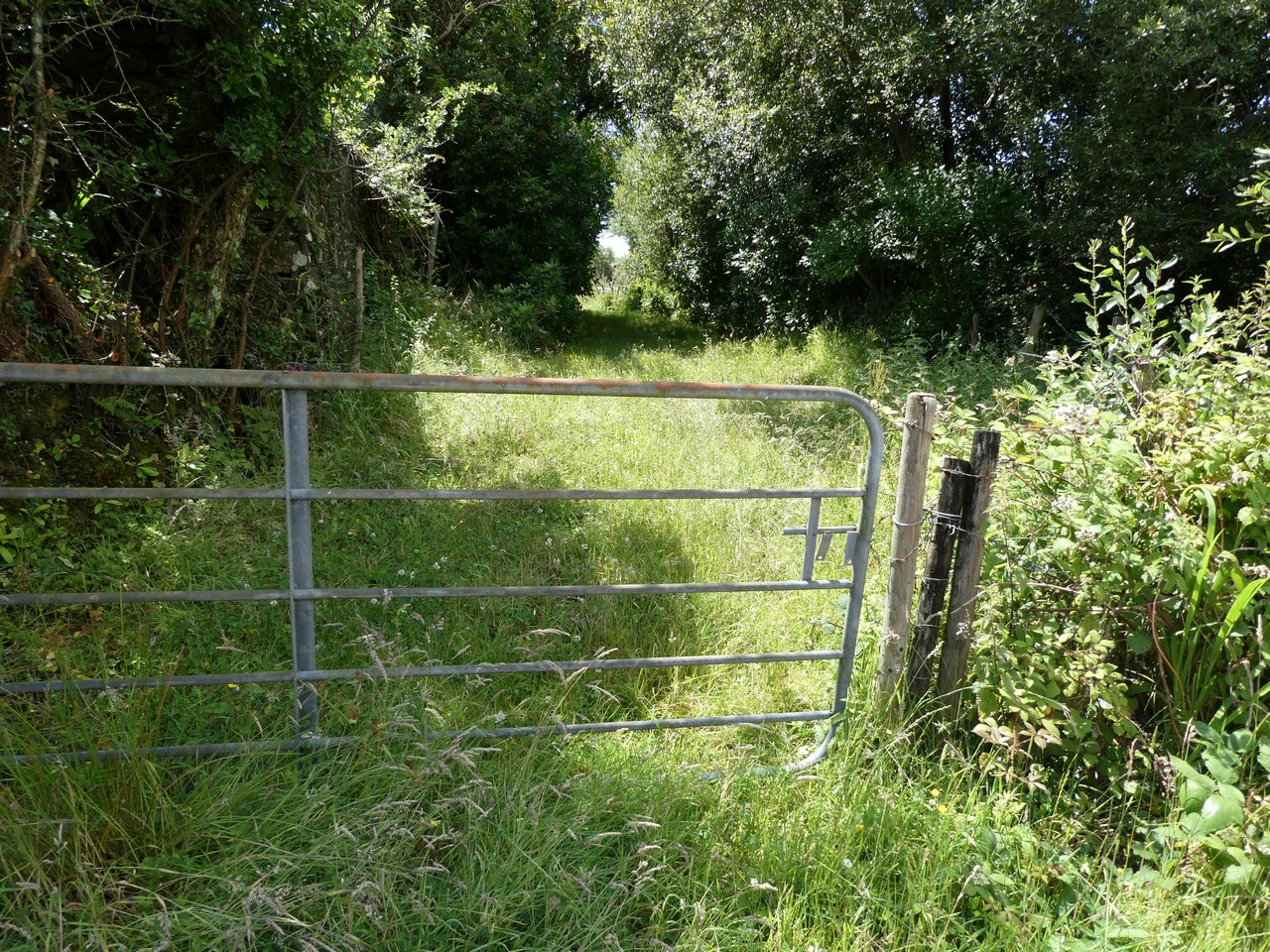 FOR SALE Circa 18.21 Hectares/ 45 Acres. LOMANAGH SOUTH, SNEEM