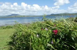 FOR SALE ~ COTTAGE ON VALENTIA ISLAND V23 AK28