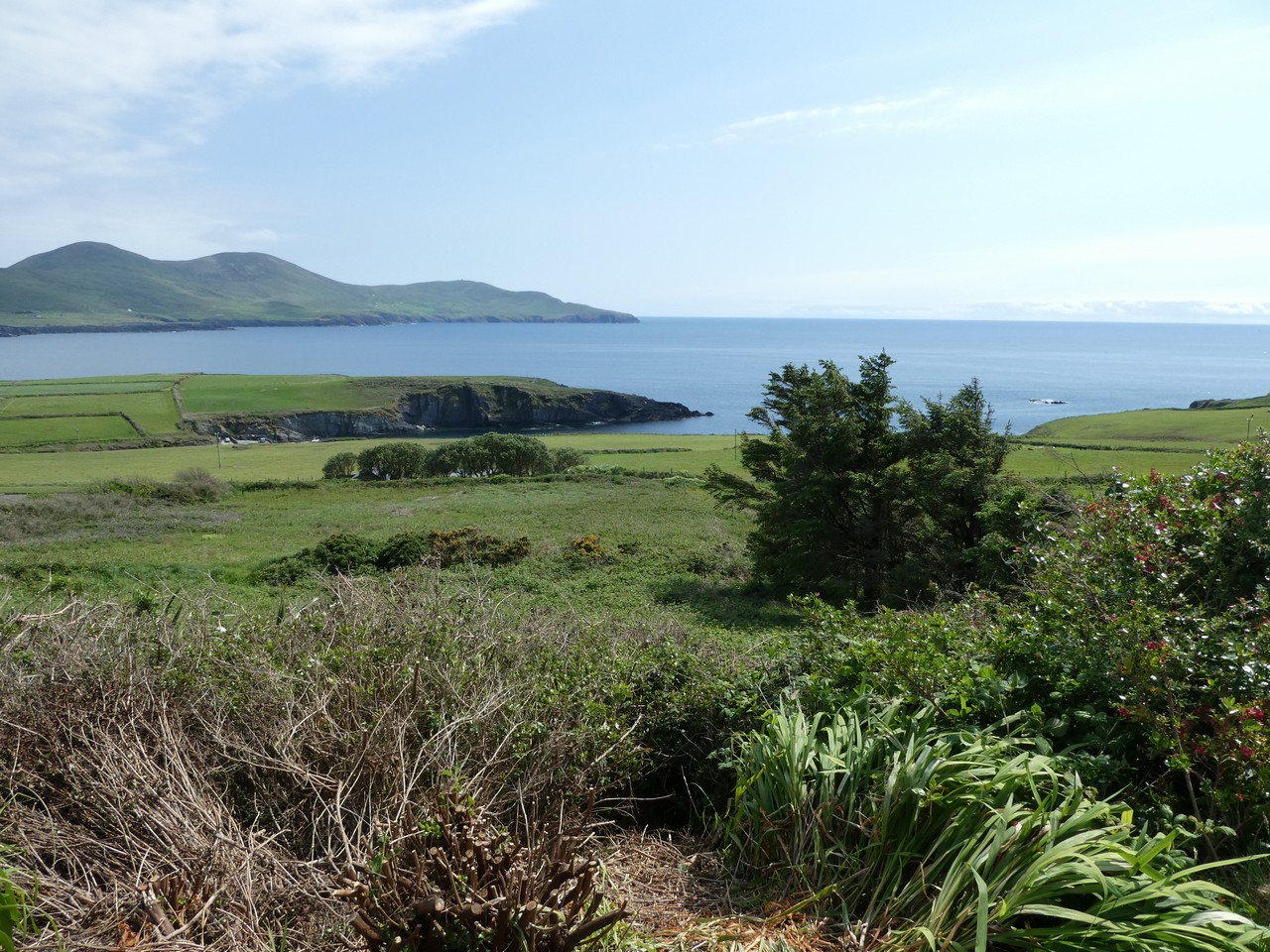 Saint Finian’s, Allaghee Beg, Ballinskelligs, Co. Kerry, V23W426