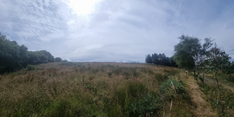 c00019