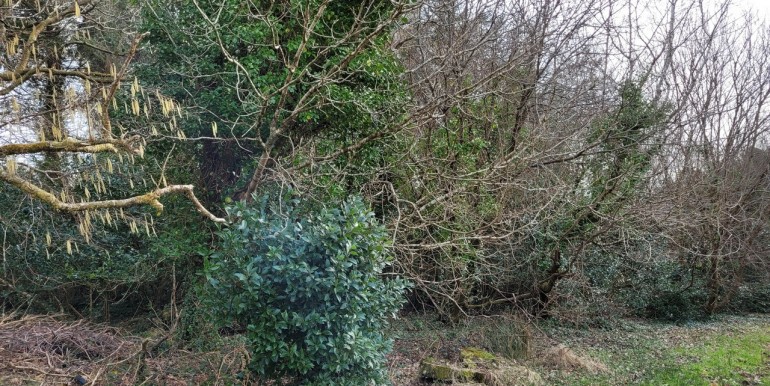 Image00014