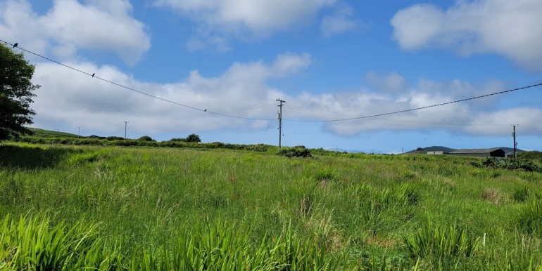 Image00014