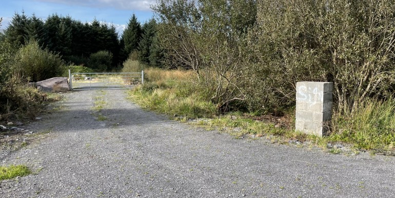 2F71DD37-4DEC-4C1A-83DF-A89E02CD5502