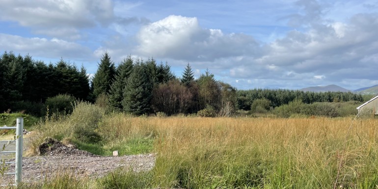 35C16F73-163B-4B9A-AC10-21130F5A0721