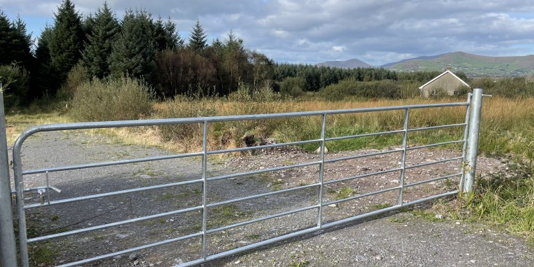 39A07FDC-8538-4BC0-8C25-A2E9DCF67906