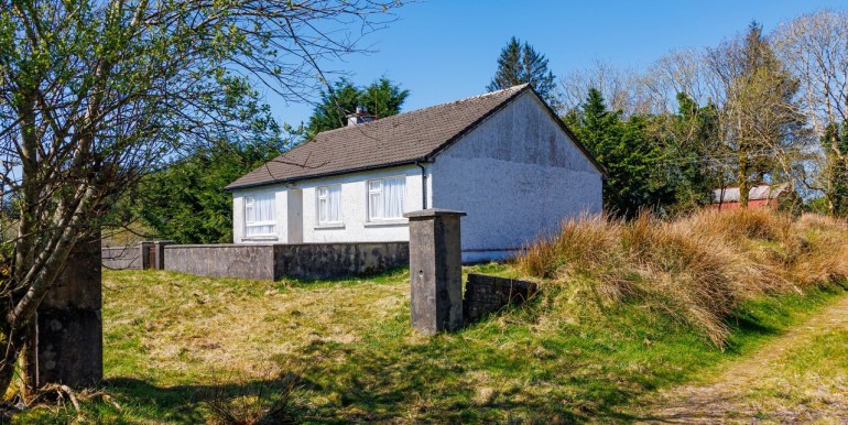 Alan Landers Photos_00001