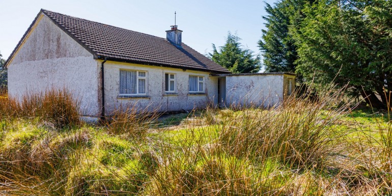 Alan Landers Photos_00002