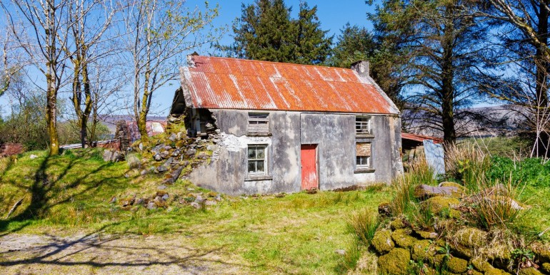 Alan Landers Photos_00005