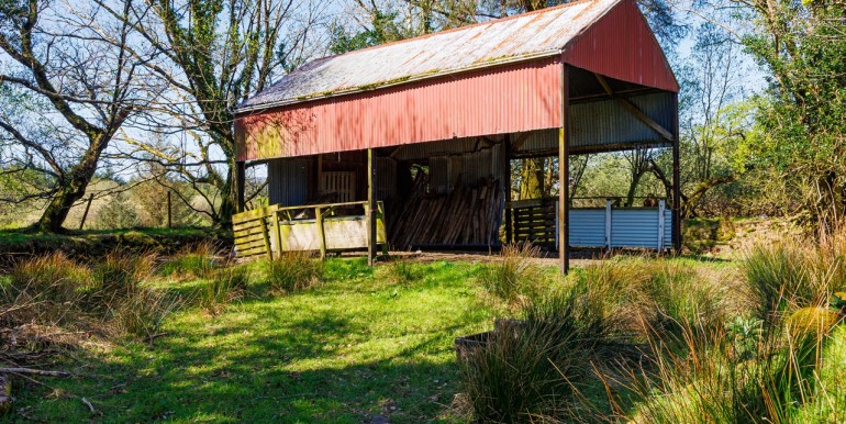 Alan Landers Photos_00006