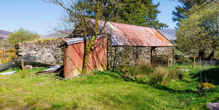 Alan Landers Photos_00007