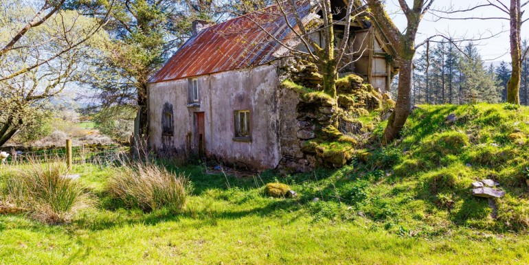 Alan Landers Photos_00008