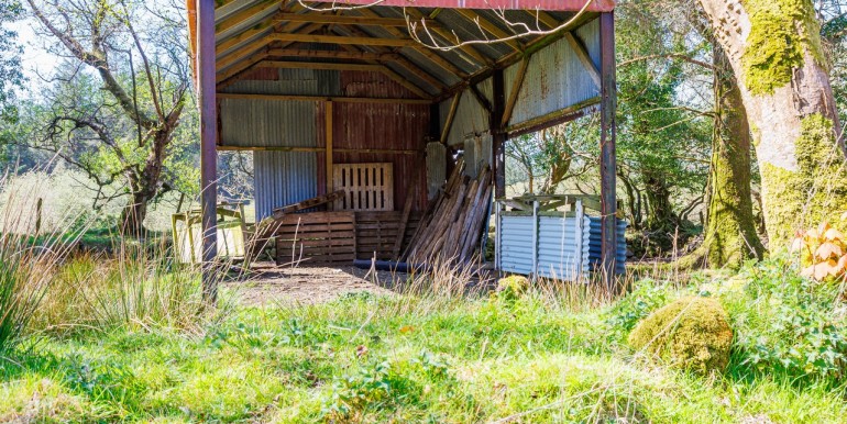 Alan Landers Photos_00009