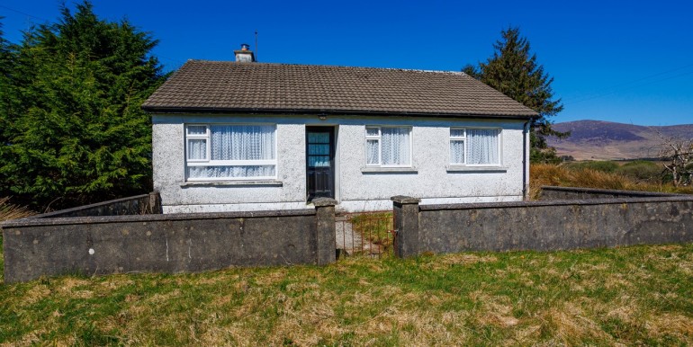 Alan Landers Photos_00010