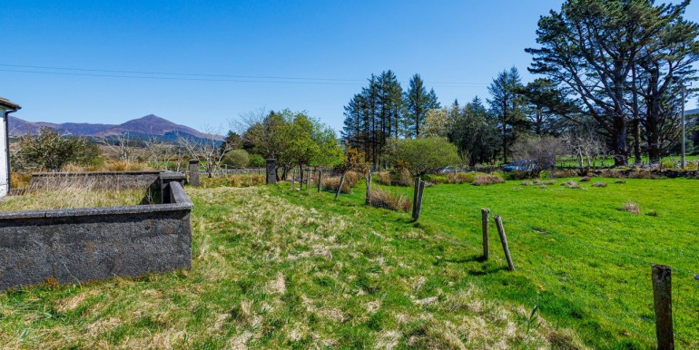 Alan Landers Photos_00013