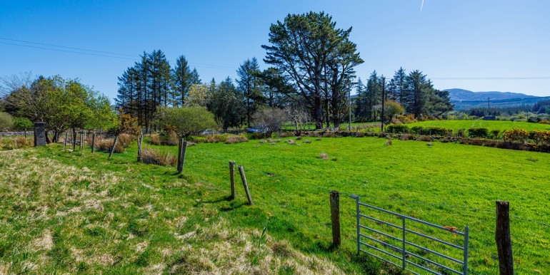 Alan Landers Photos_00014