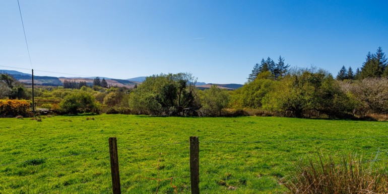 Alan Landers Photos_00019