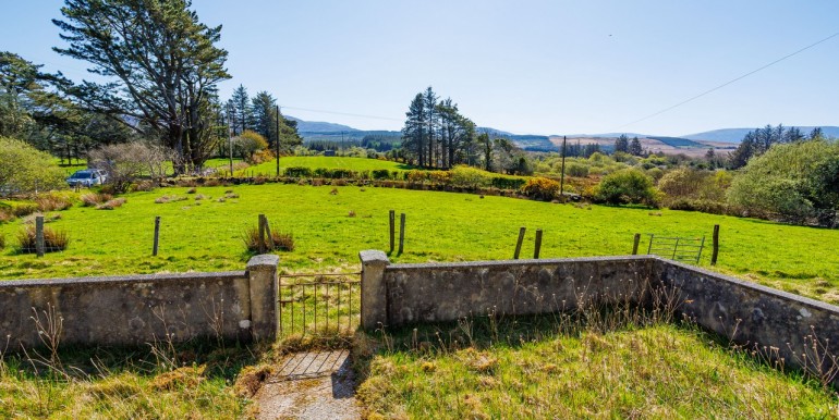 Alan Landers Photos_00022