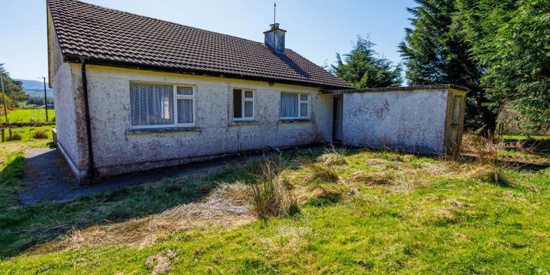 Alan Landers Photos_00024