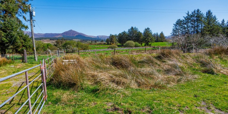 Alan Landers Photos_00025