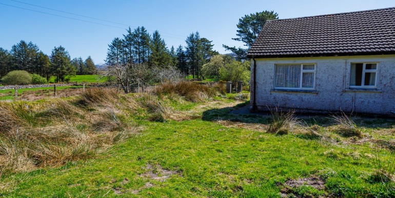 Alan Landers Photos_00026