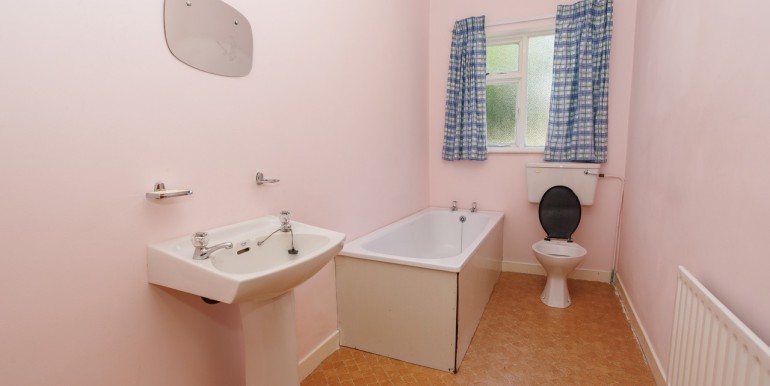 Alan Landers Photos_00036