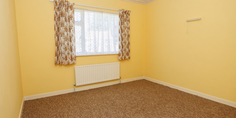 Alan Landers Photos_00038