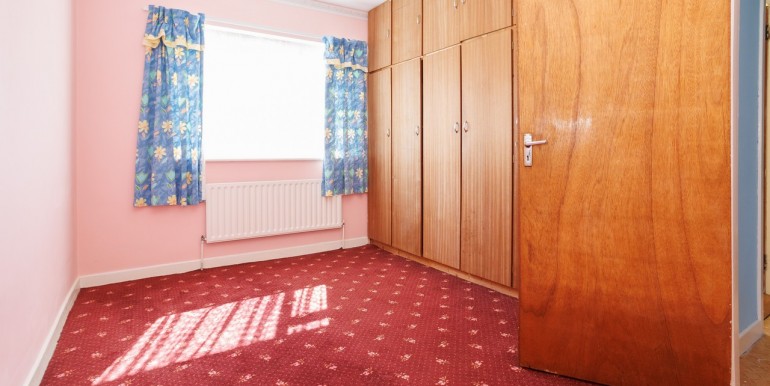 Alan Landers Photos_00040