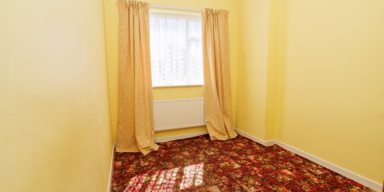 Alan Landers Photos_00042