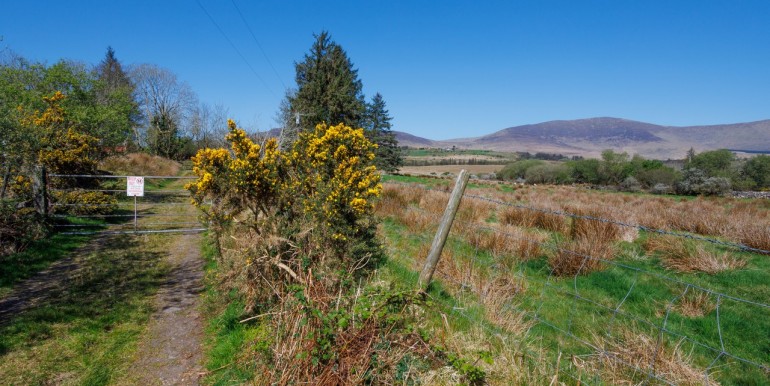 Alan Landers Photos_00046